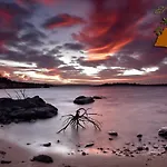 El Chorron * Эль-Ройо