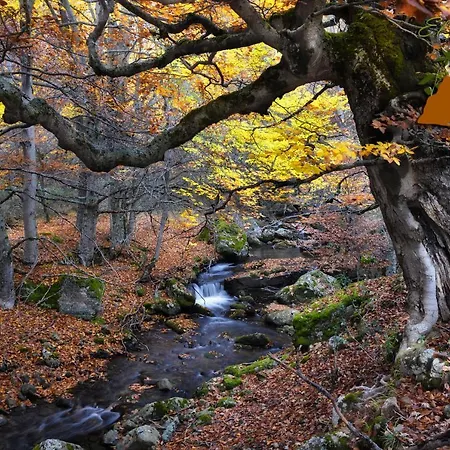 El Chorron Hébergement de vacances El Royo